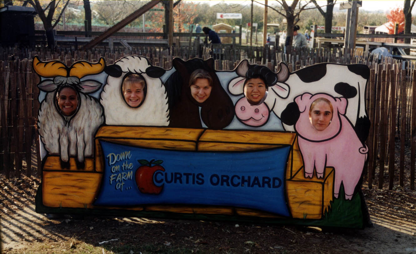 orchard_faces