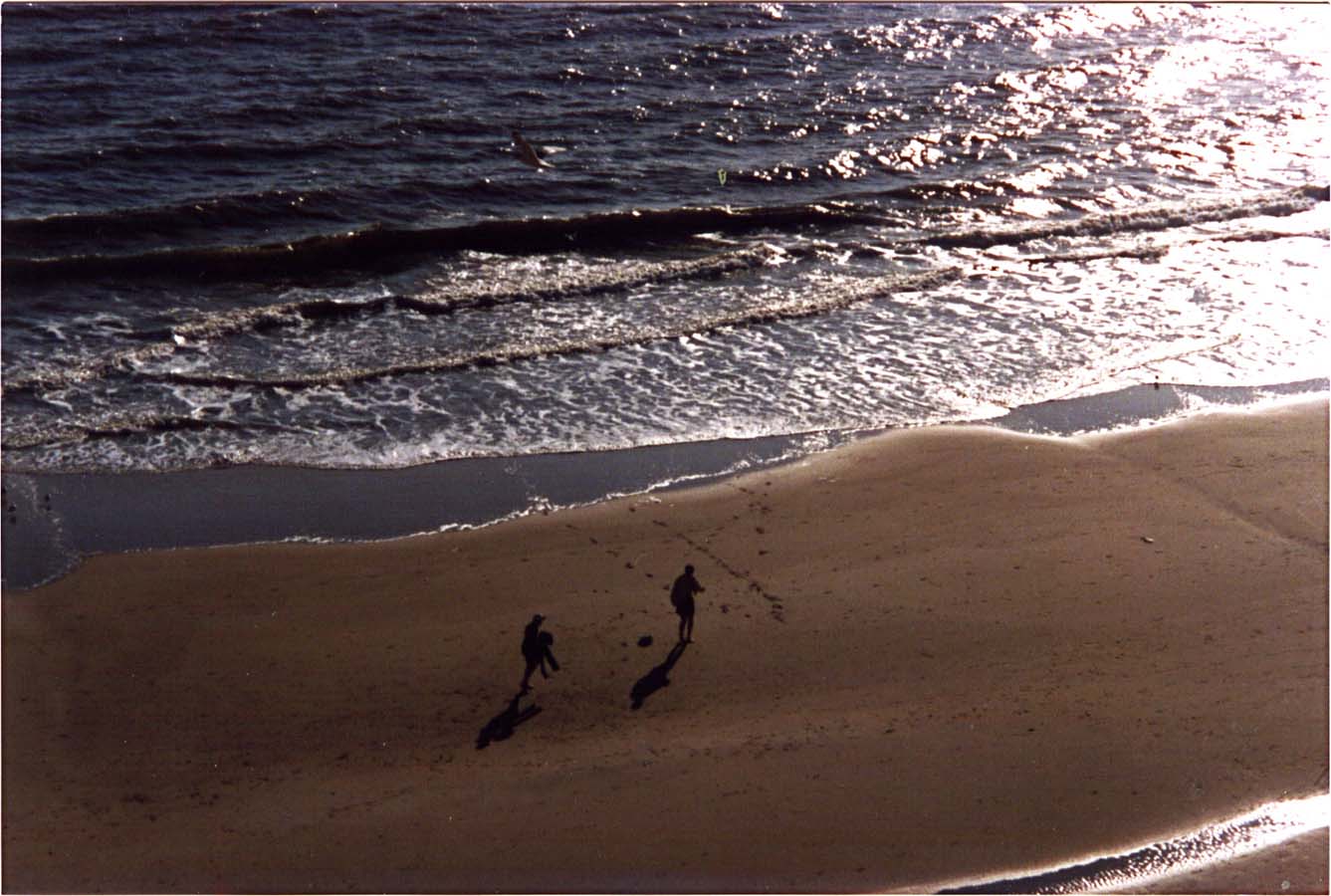 vabeach-lg