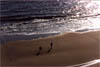 vabeach-lg