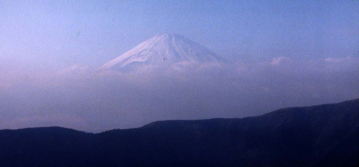fugi