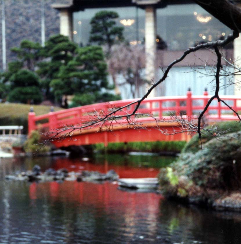 pond_branch