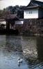 imperial_water