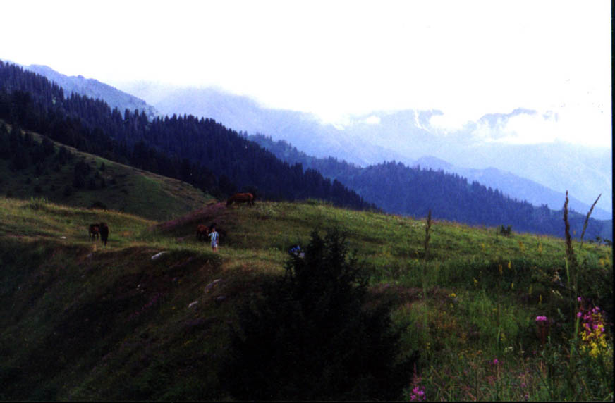 a_kaz07