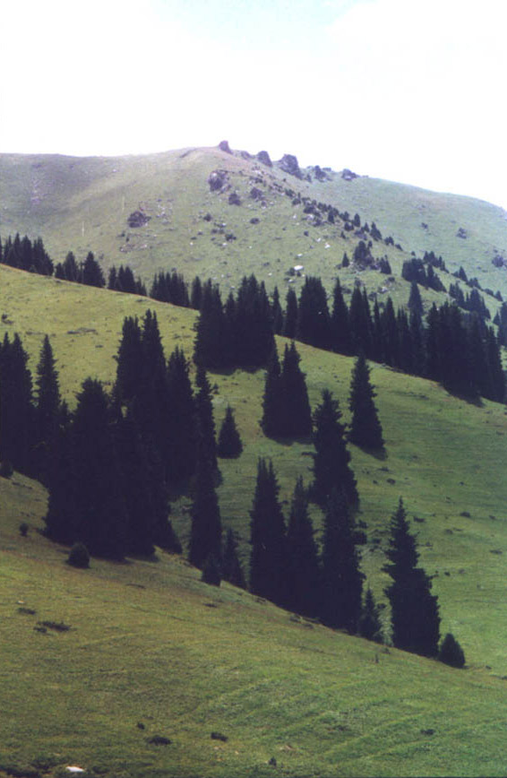 a_kaz14