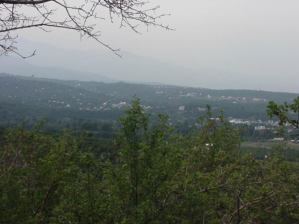 view1