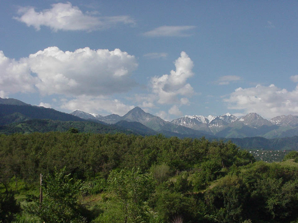 view3