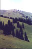 a_kaz14