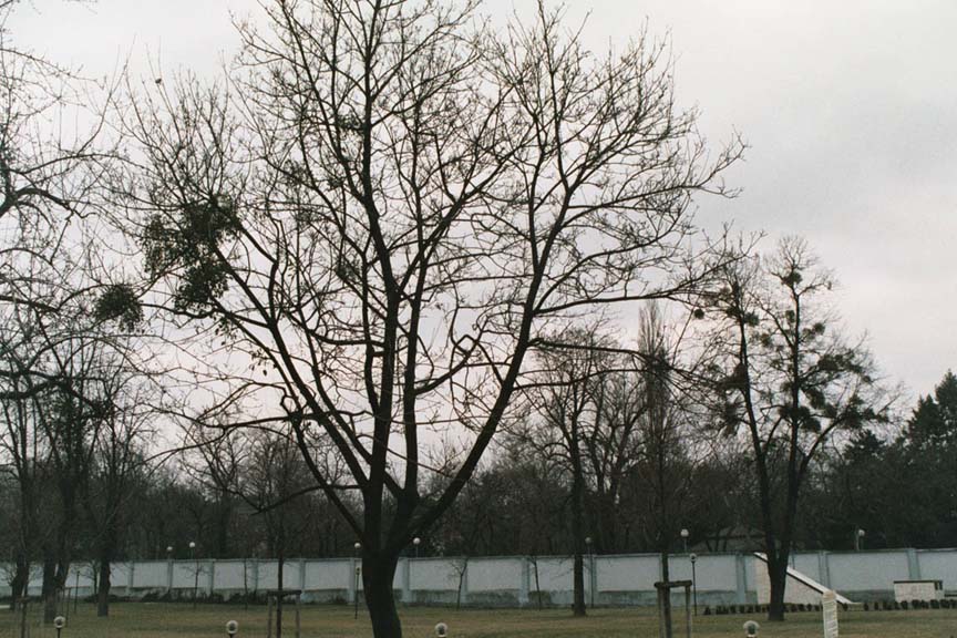 sk4_03