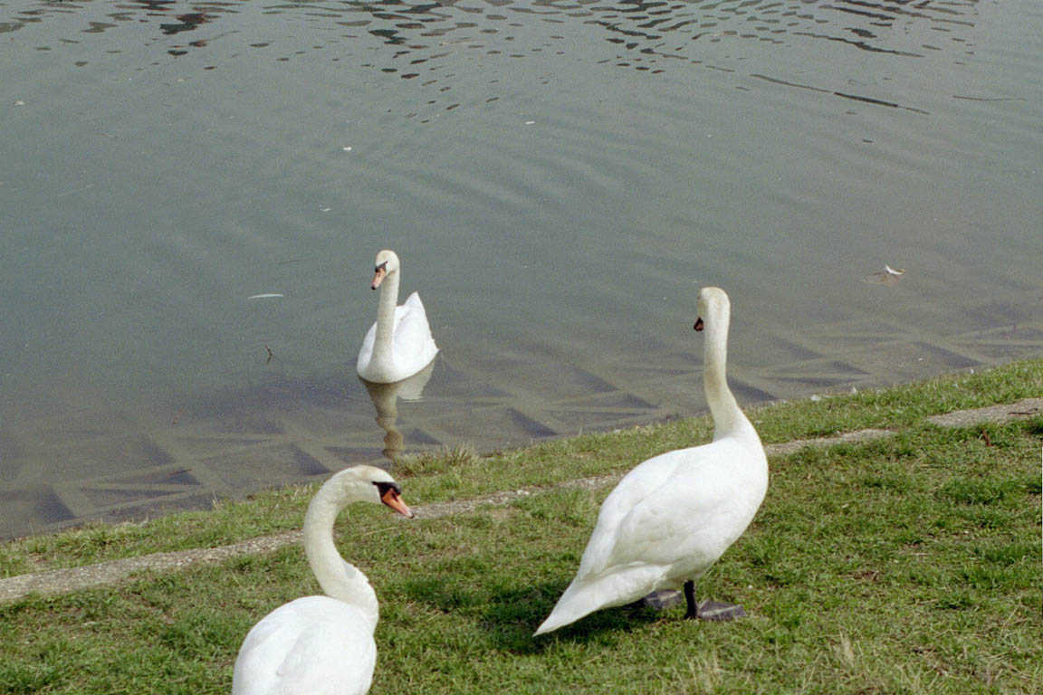 sk2004_1_23