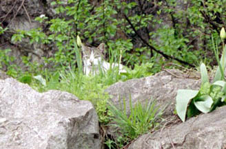 sk2004_2_14