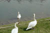sk2004_1_23