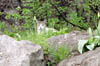 sk2004_2_14