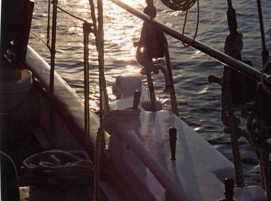 barharbor049