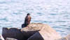 barharbor023