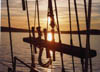 barharbor047