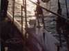 barharbor049