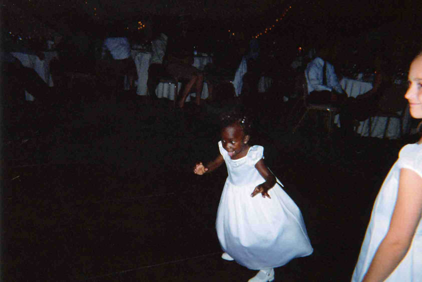 weddingdisposable076