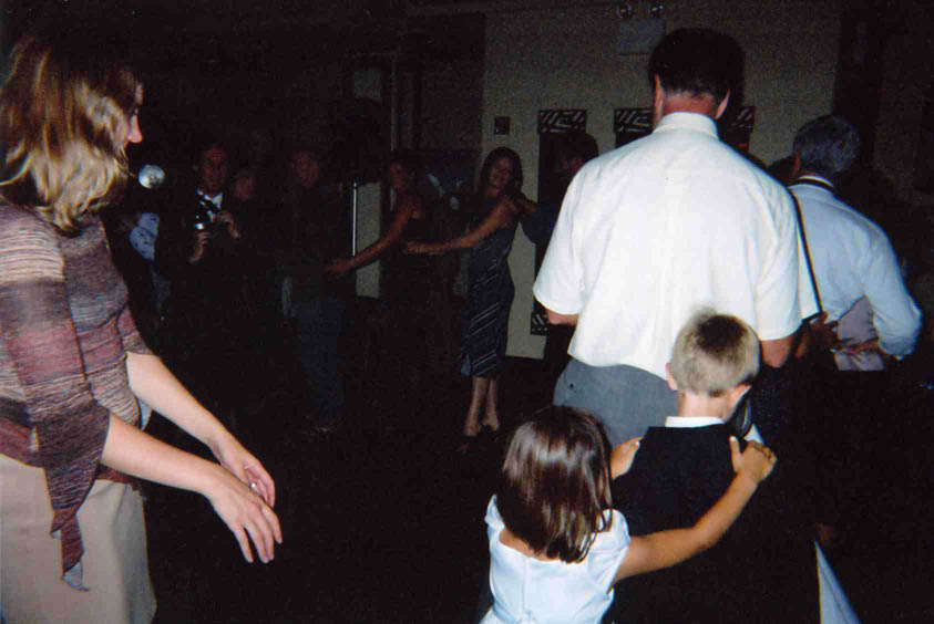 weddingdisposable086