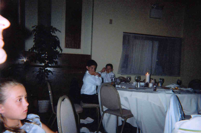 weddingdisposable094