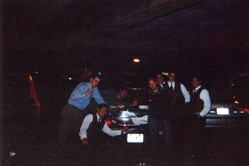 weddingdisposable120