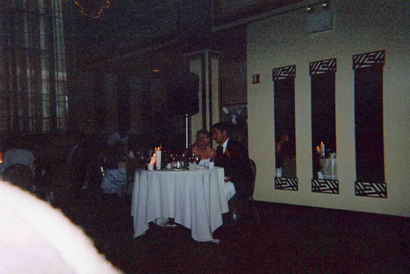 weddingdisposable131