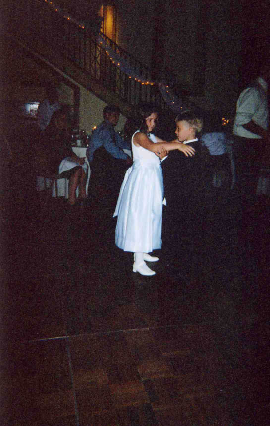 weddingdisposable229