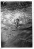 little_gene_swimming